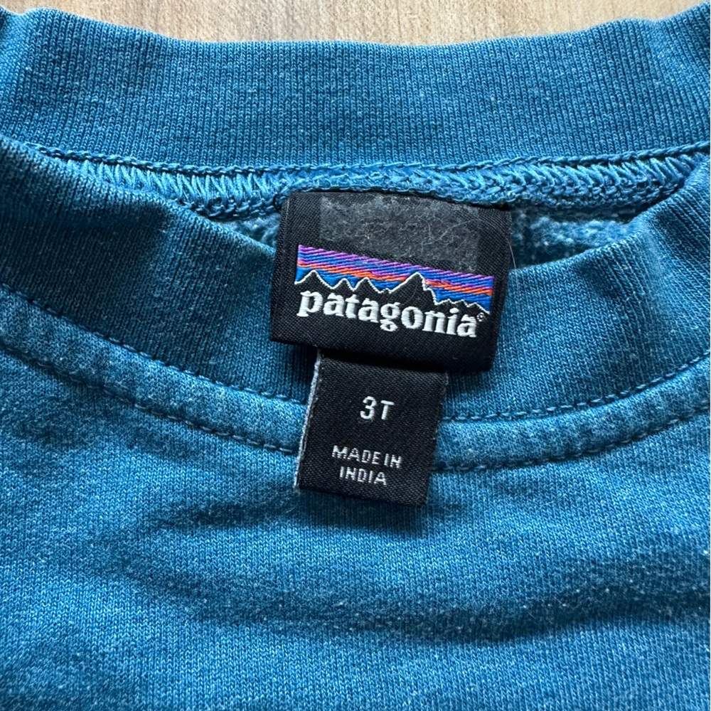 Patagonia Teal Blue sweatshirt with Logo Tag - Picture 2 of 2